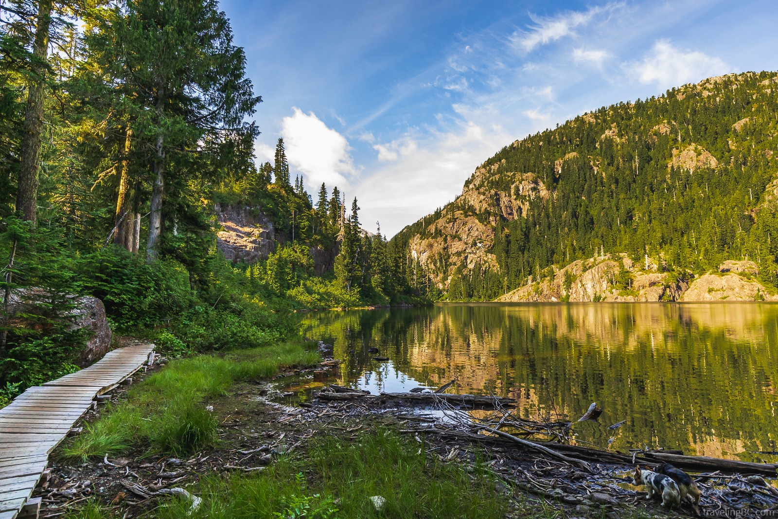 Boardwalk beside Baby Bedwell Lake 