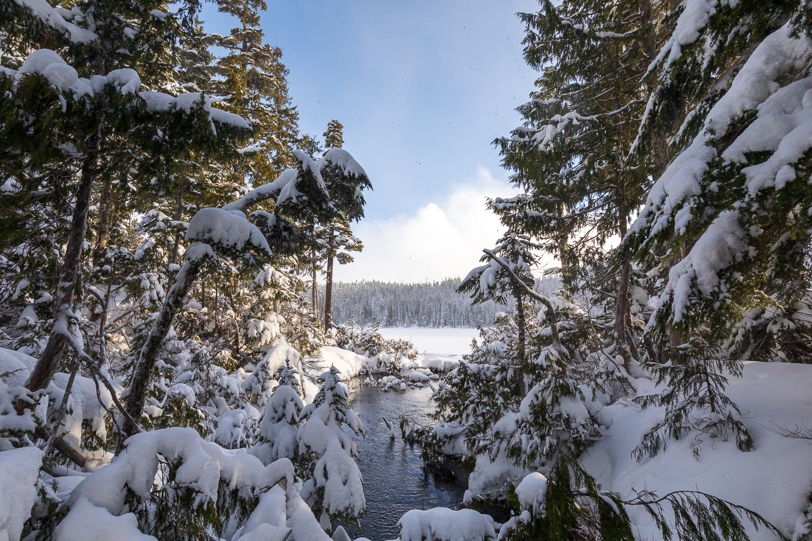 visit british columbia in winter