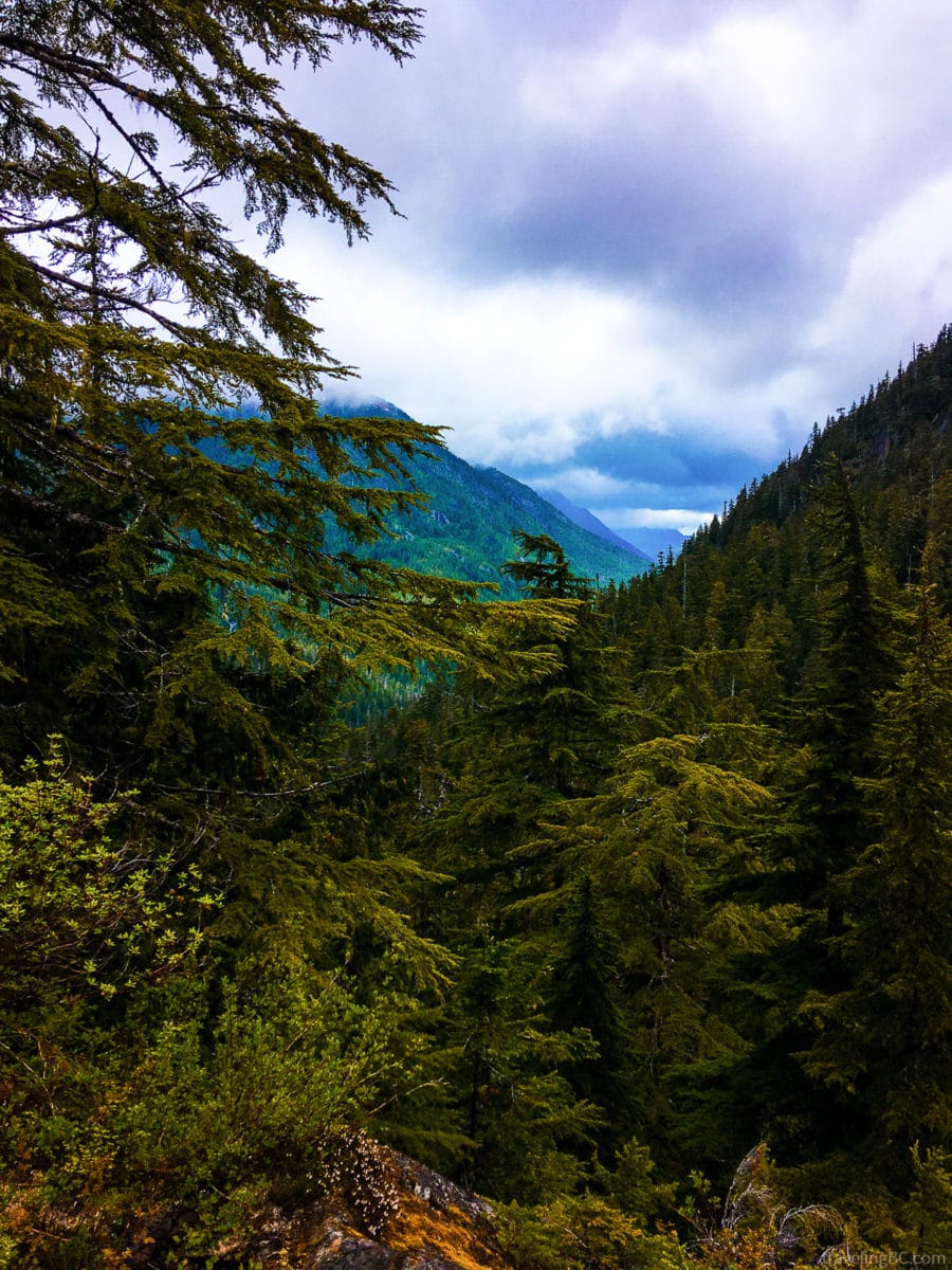 Bedwell Lakes Trail valley viewpoint