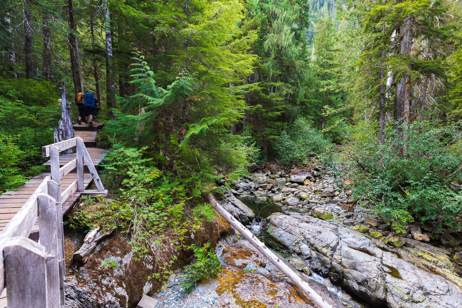 Bedwell Lake Trail, Strathcona Provincial Park: Ultimate Guide ...