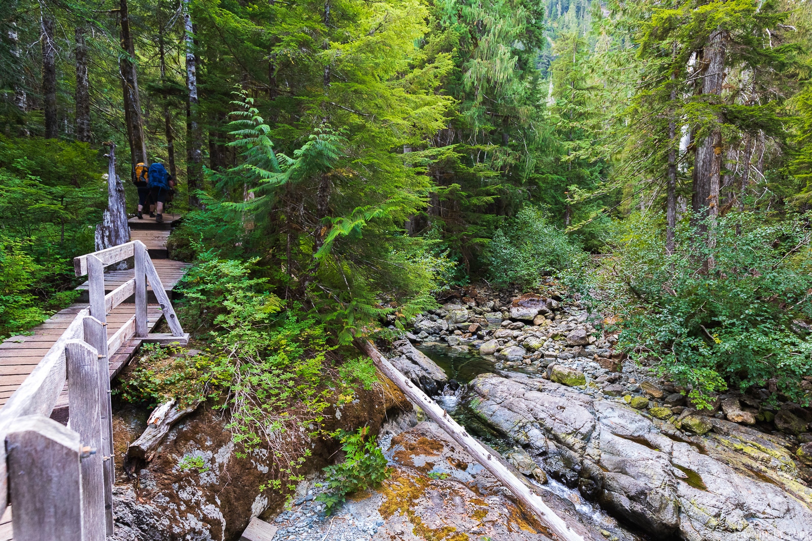 Stream crossing on the Bedwell Lake hike