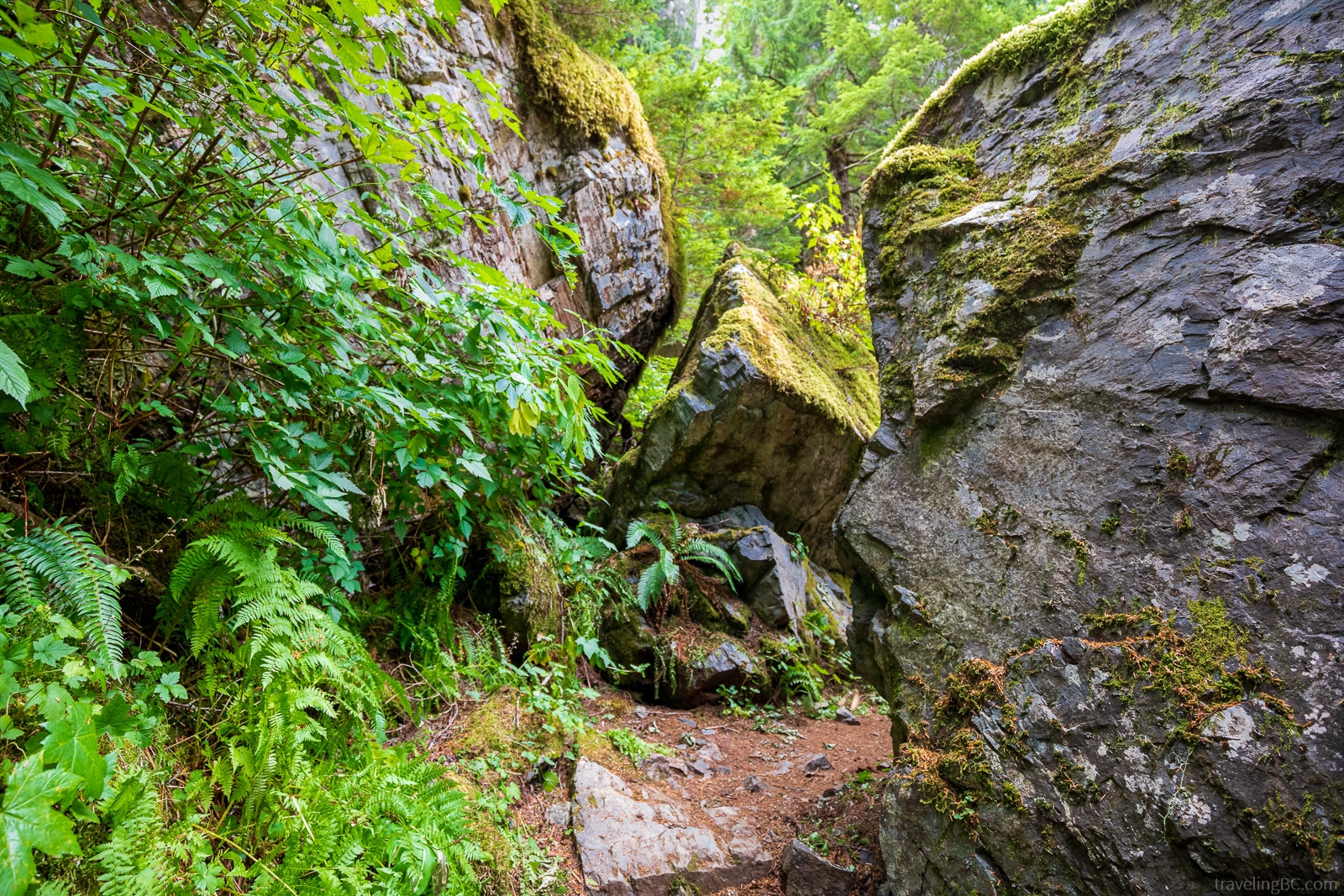 Boulders on the Bedwell Lake Trail