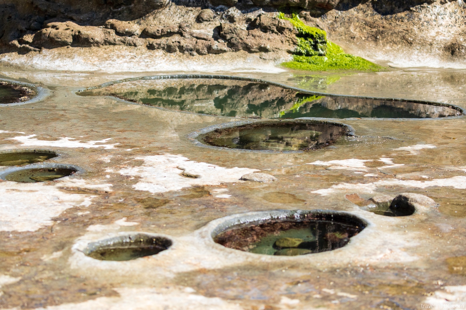 The unique tide pools at Botanical Beach on Vancouver Island