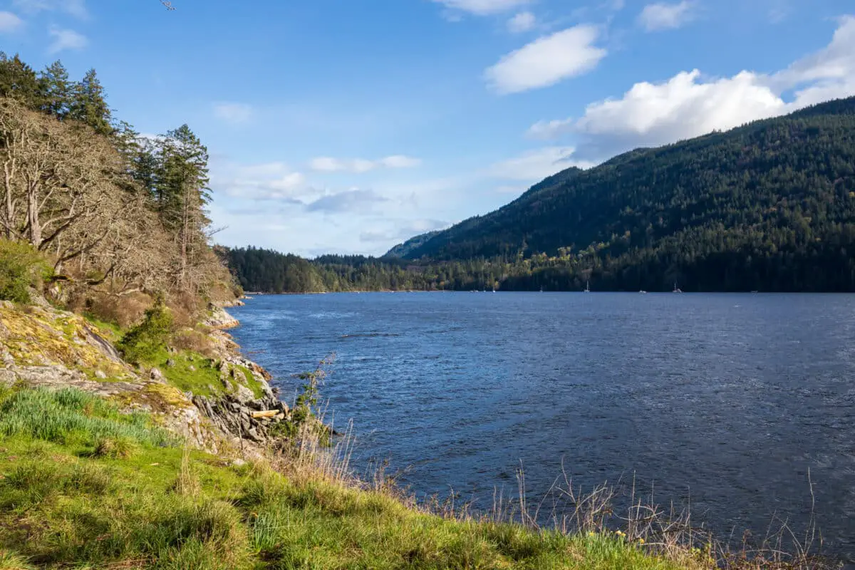 The view of the ocean from the lookout at Burgoyne Bay Provincial Park on Saltspring Island