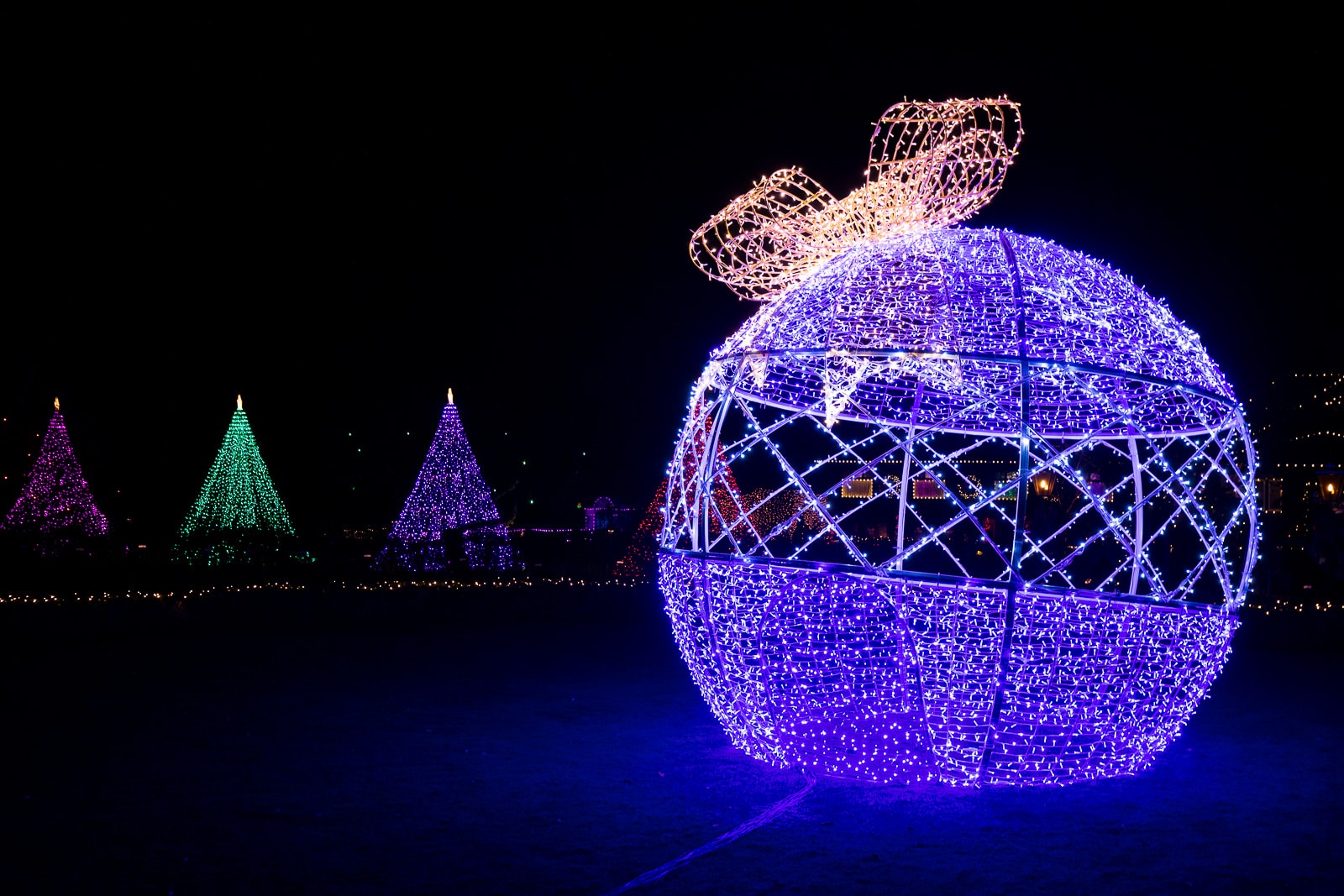 Christmas lights at the Butchart Gardens in Victoria, BC