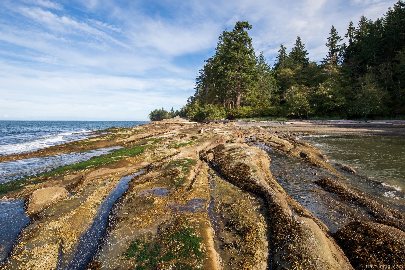 Beach at Cable Bay, Galiano Island