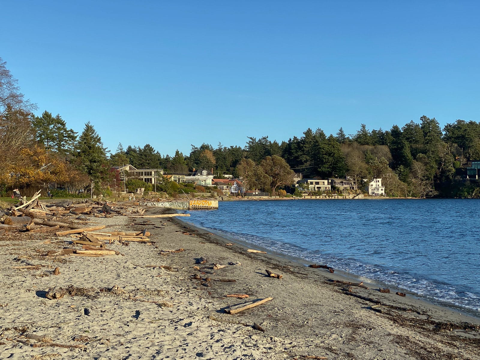 The beautiful sandy beach at Cadboro-Gyro Park