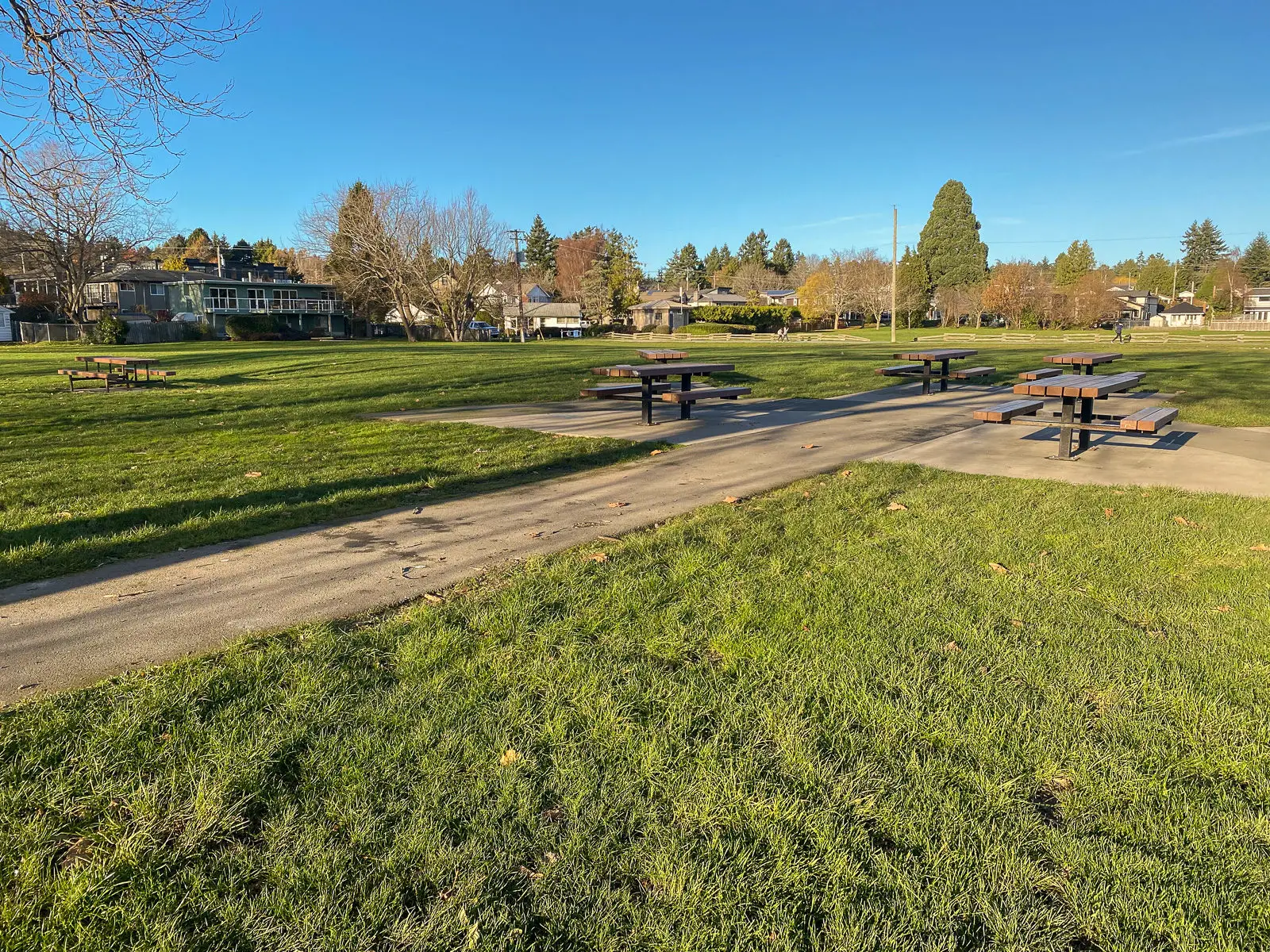 The accessible picnic tables at Cadboro-Gyro Park