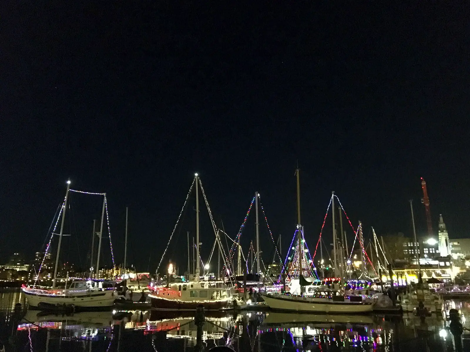 Christmas lights on the boats in the Inner Harbour