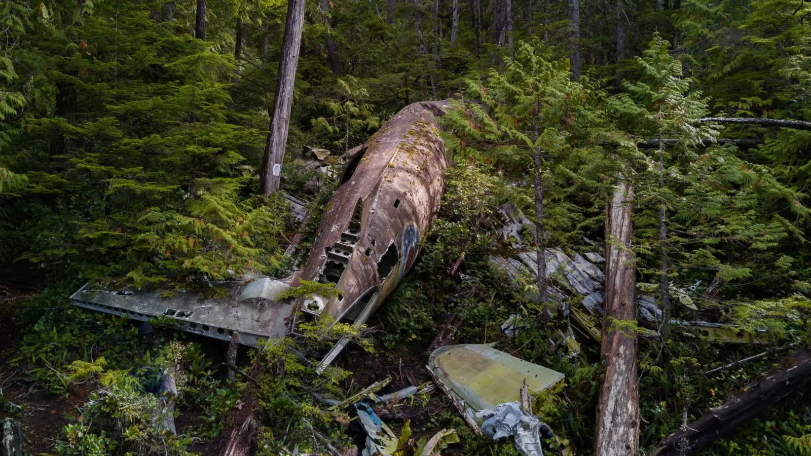 One of the best things to do in Port Hardy is to hike to the Dakota 576 Plane Crash