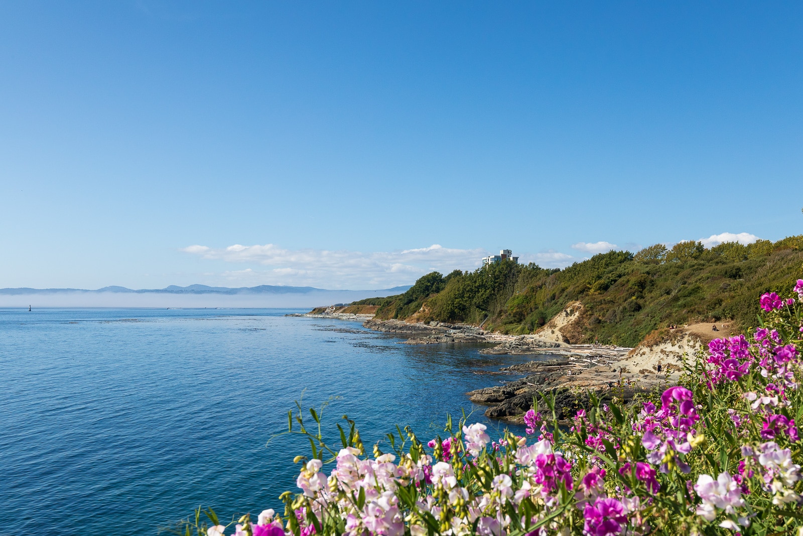 The beautiful coastline of Victoria along Dallas Road