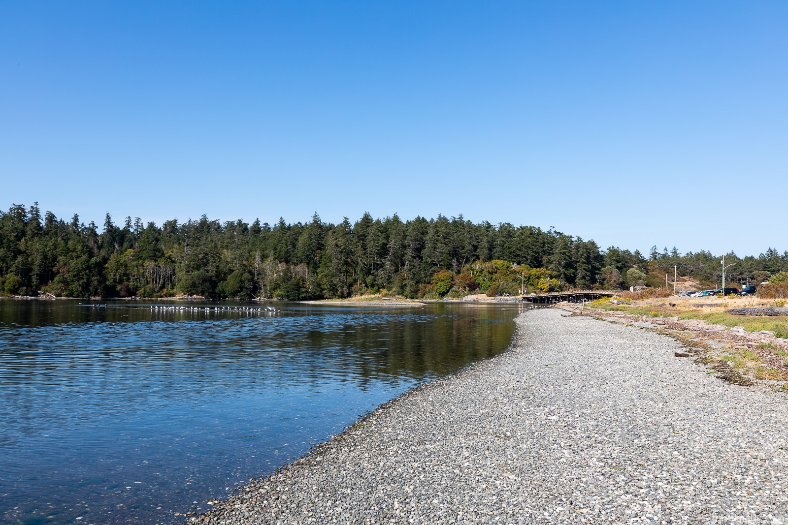 Esquimalt Lagoon beach and forest