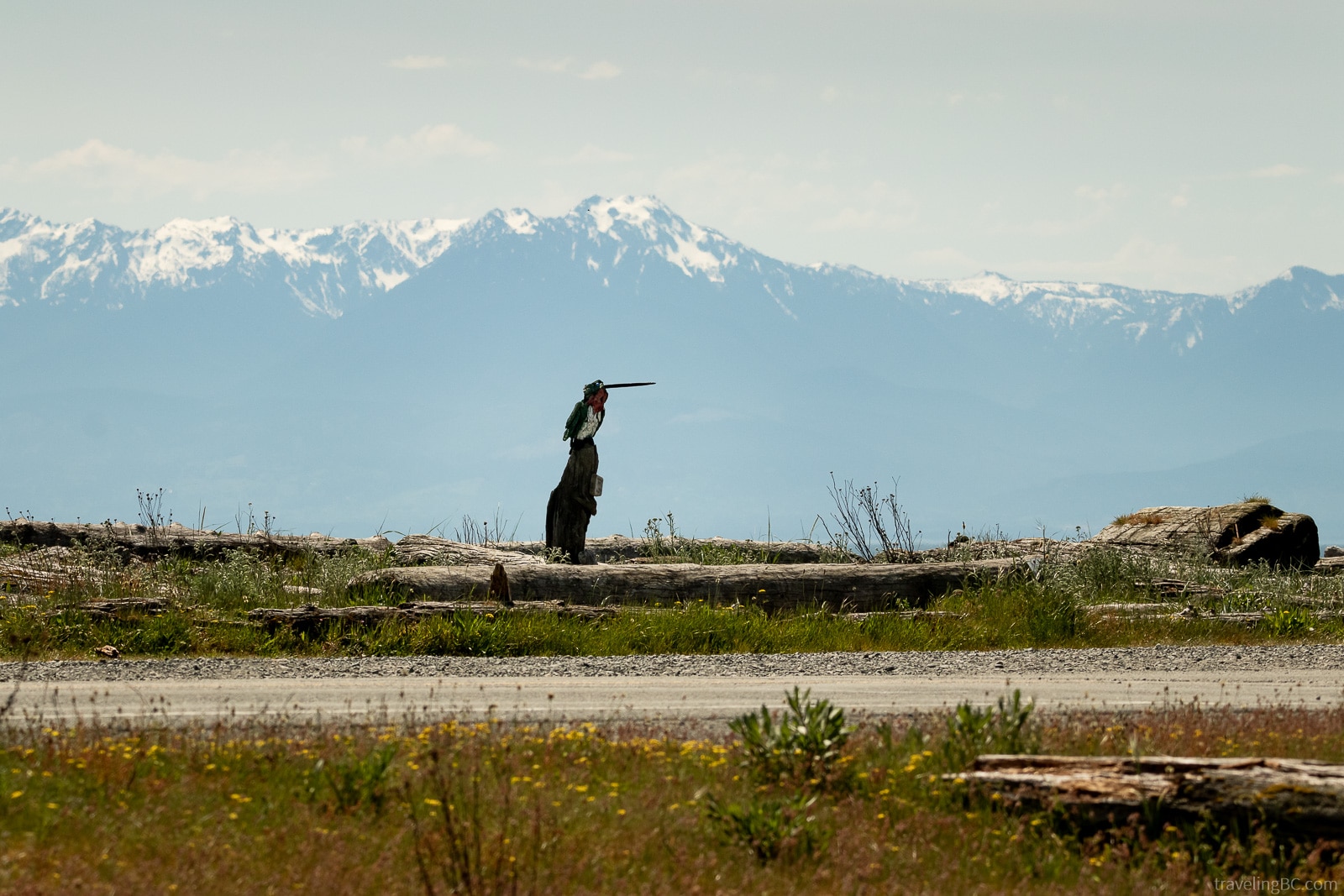 Hummingbird driftwood sculpture at Esquimalt Lagoon with mountains in the distance