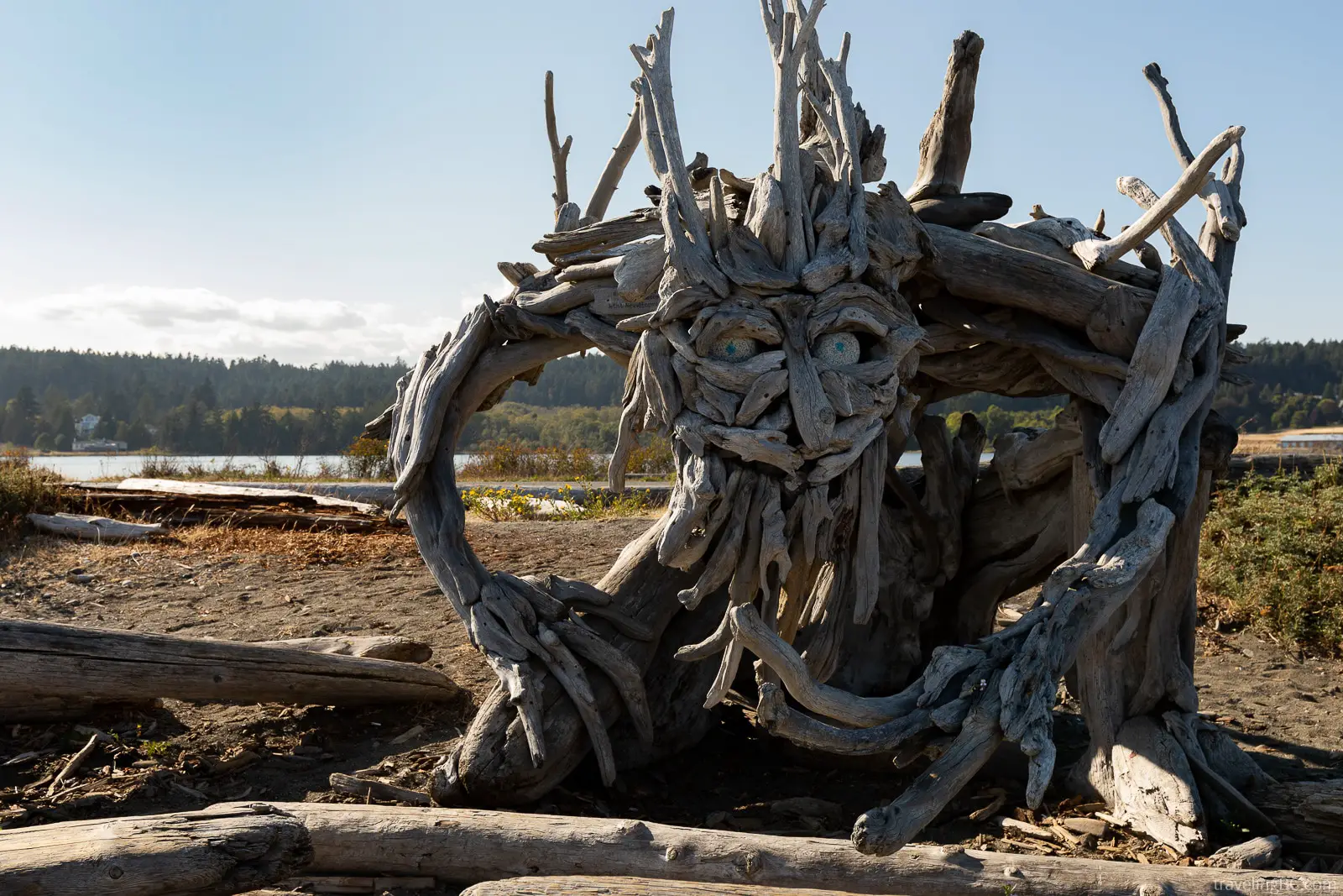 Esquimalt Lagoon driftwood sculpture - "McGnarly the Beach Ent"