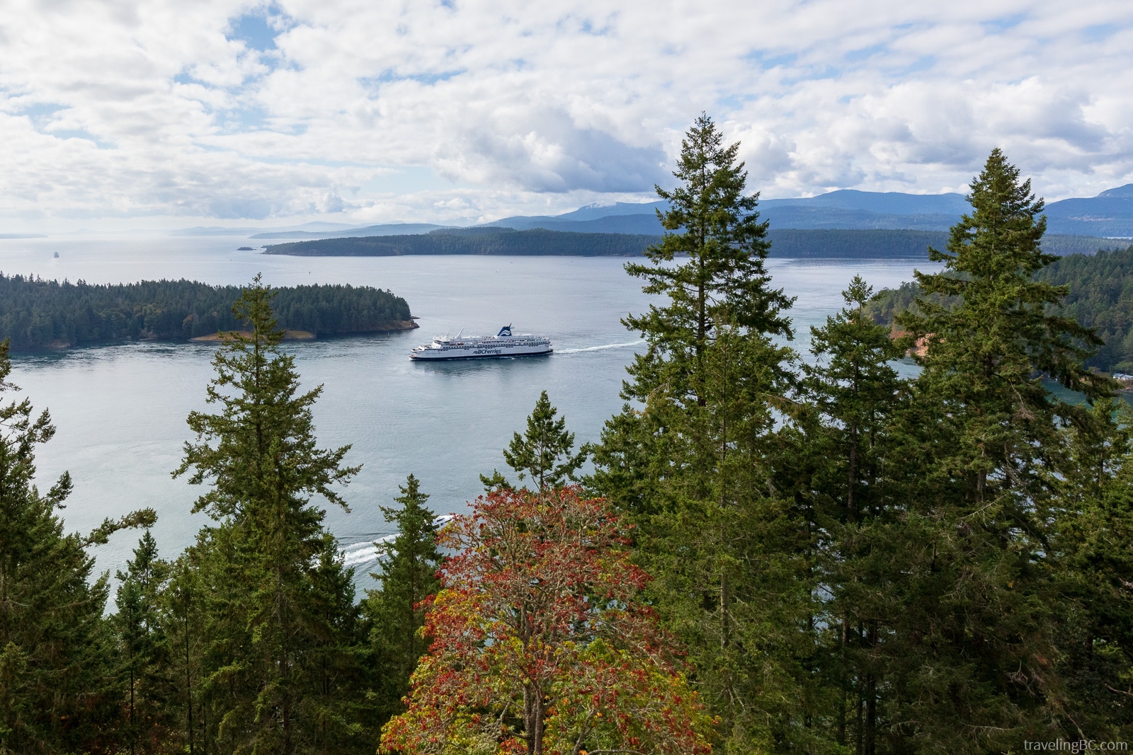 Ferry passing Bodega Ridge