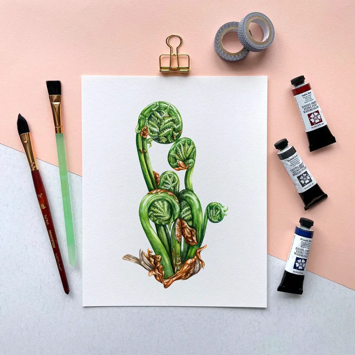 Fiddlehead Ferns Art Print