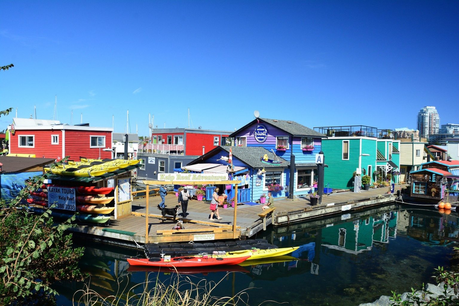 20 Unusual Things To Do In Victoria, BC - Traveling BC