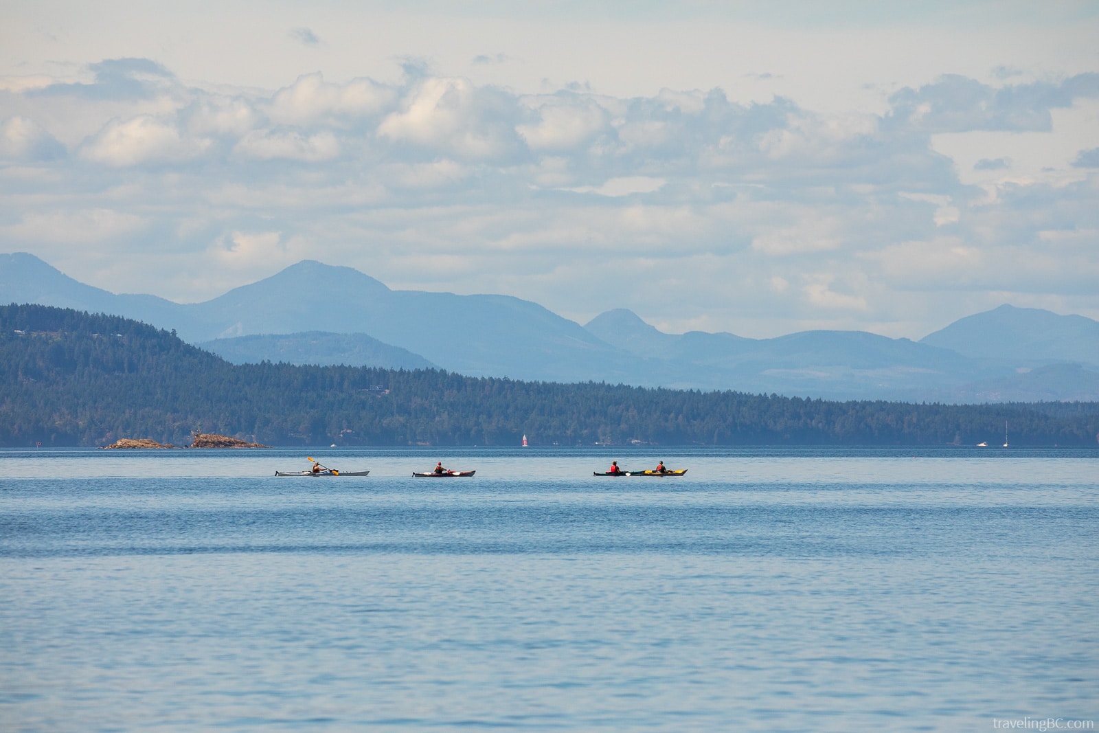 Group kayaking by Galiano Island