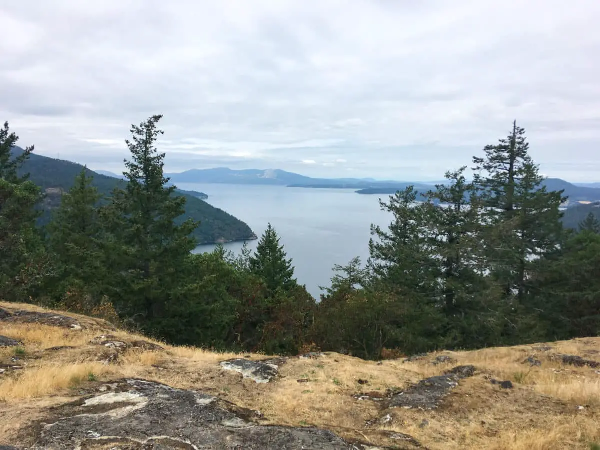 The view of Finlayson Arm at Squally Reach via the Timberman Trail at Gowlland Tod Provincial Park