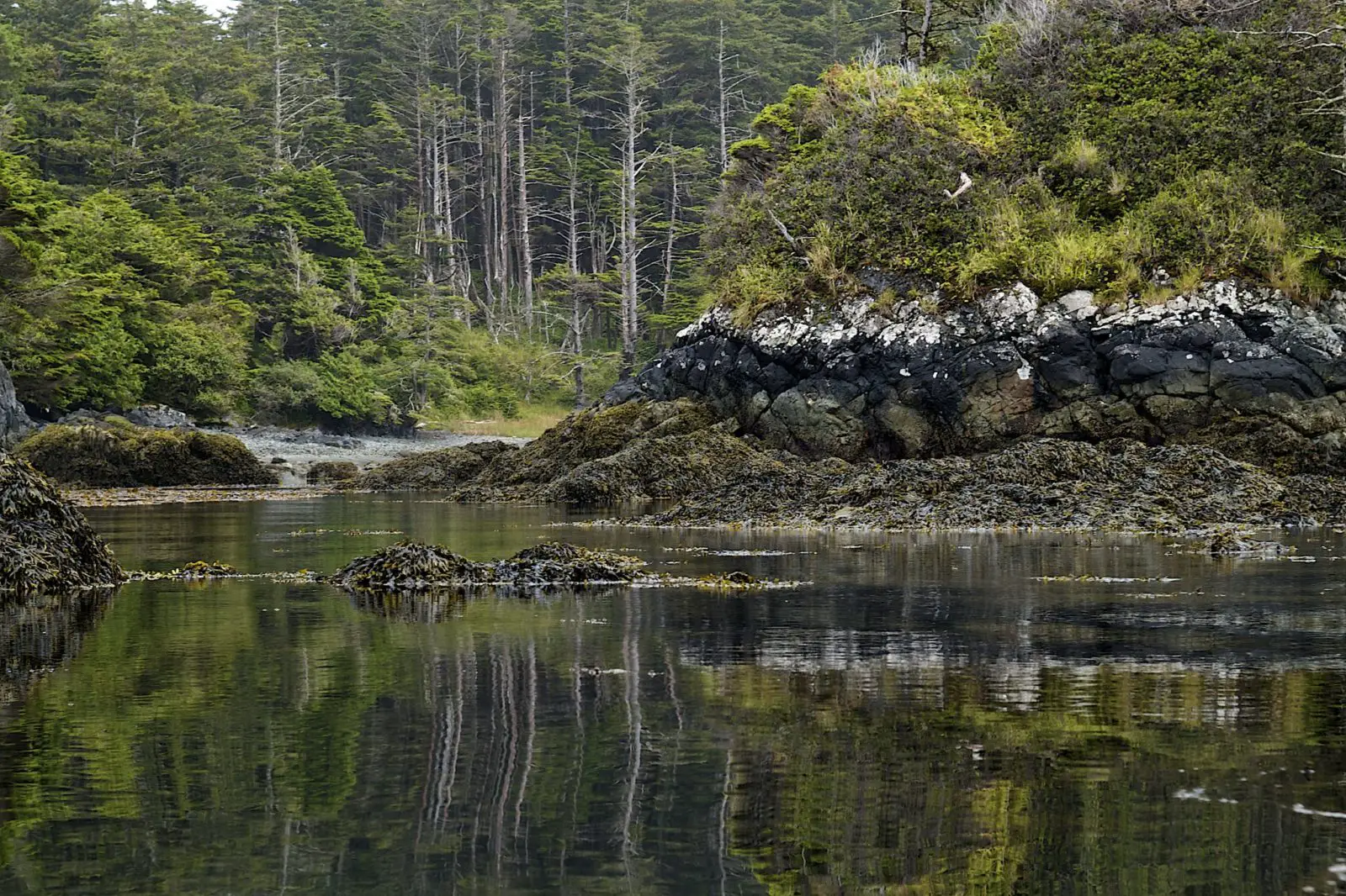 The rocky coast near SG̱ang Gwaay Llanagaay, a UNESCO World Heritage Site in Haida Gwaii - Photo: Dale Simonson (CC)