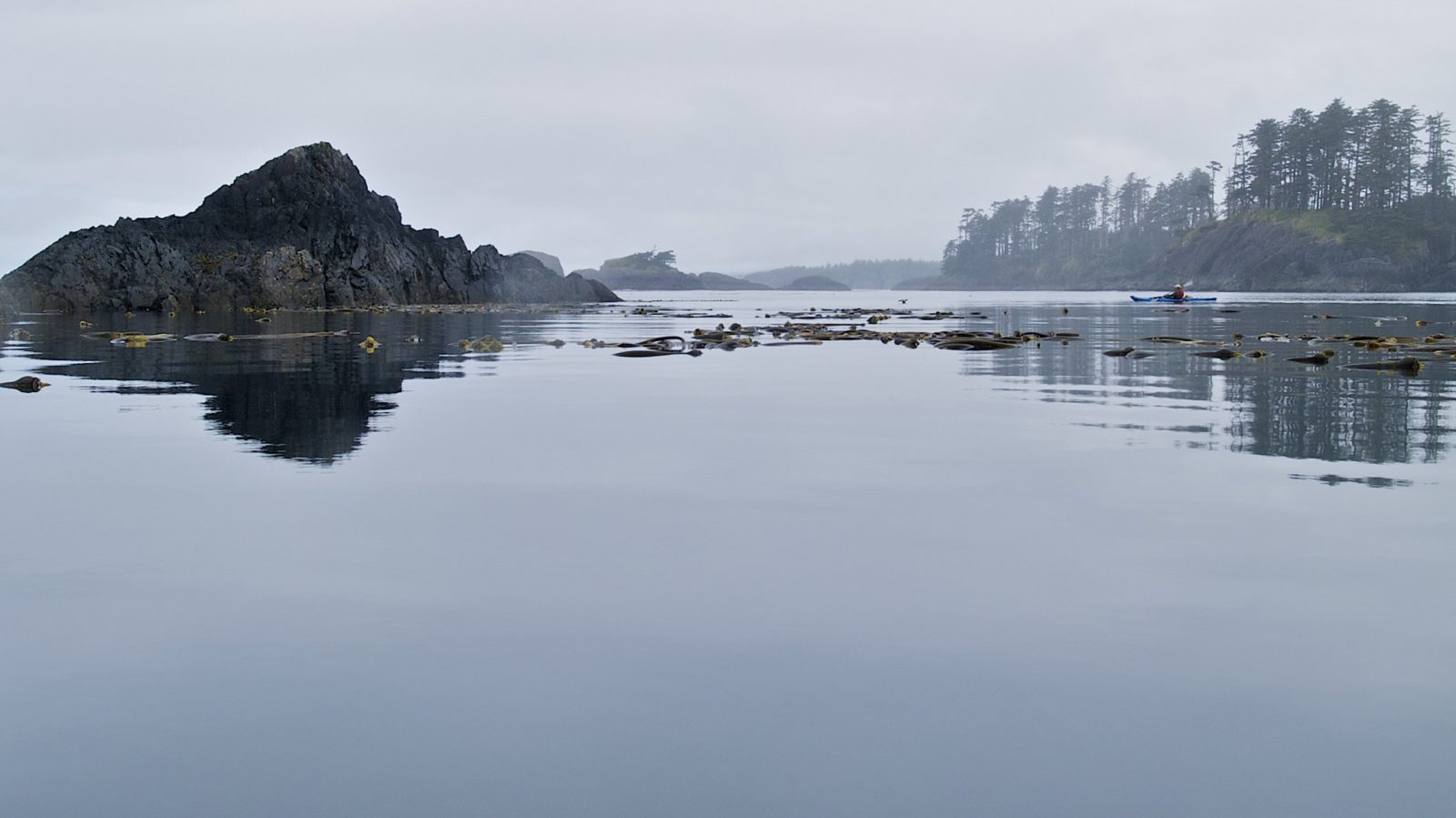 A kayaker passing a kelp forest near SG̱ang Gwaay - Photo: Dale Simonson (CC)