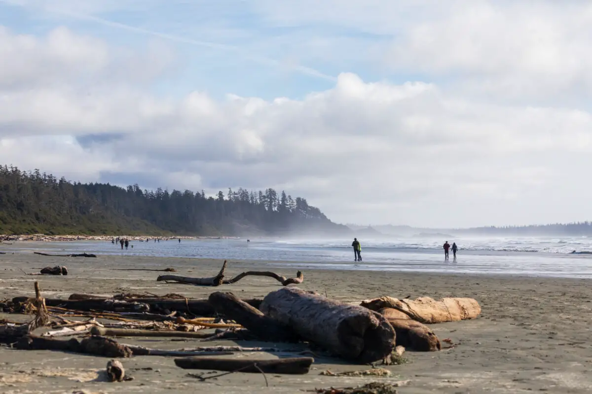People walking on the beach, with driftwood and kelp in the foreground, on Long Beach in Pacific Rim National Park by Tofino