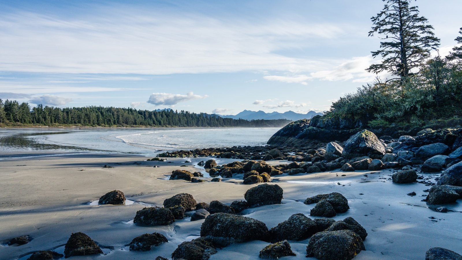 Long Beach in the Pacific Rim Regional Park