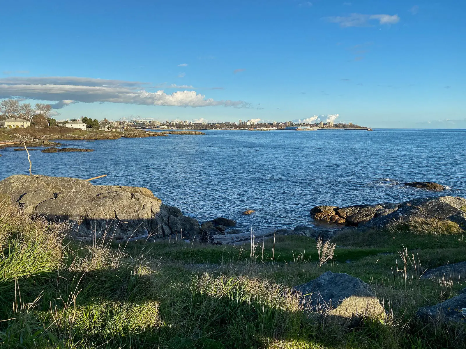 The view of Victoria's coast and downtown area from Macaulay Point Park