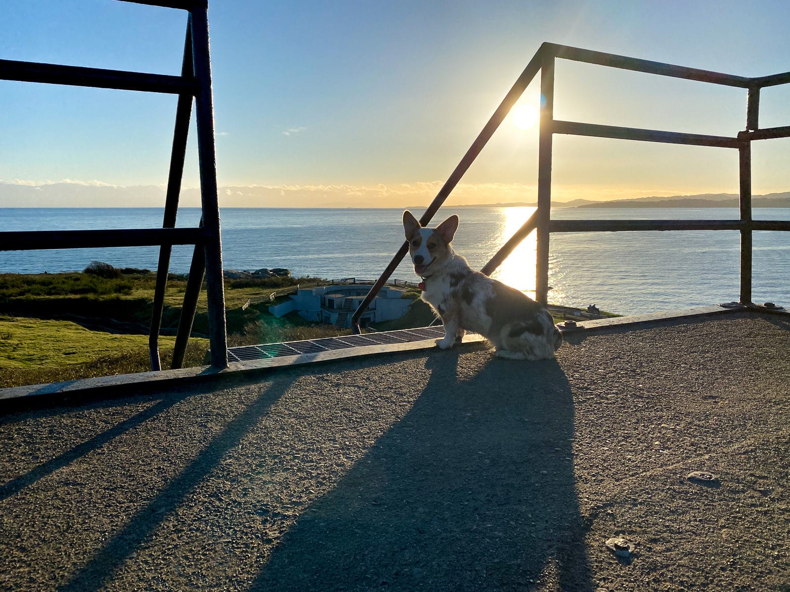 Watching the sunset at Macaulay Point Park