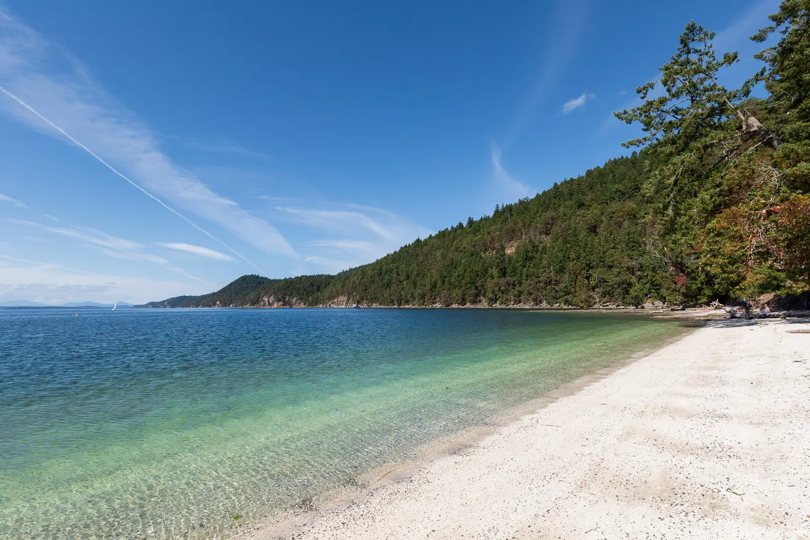 The white shell beach of Montague Harbour Marine Provincial Park