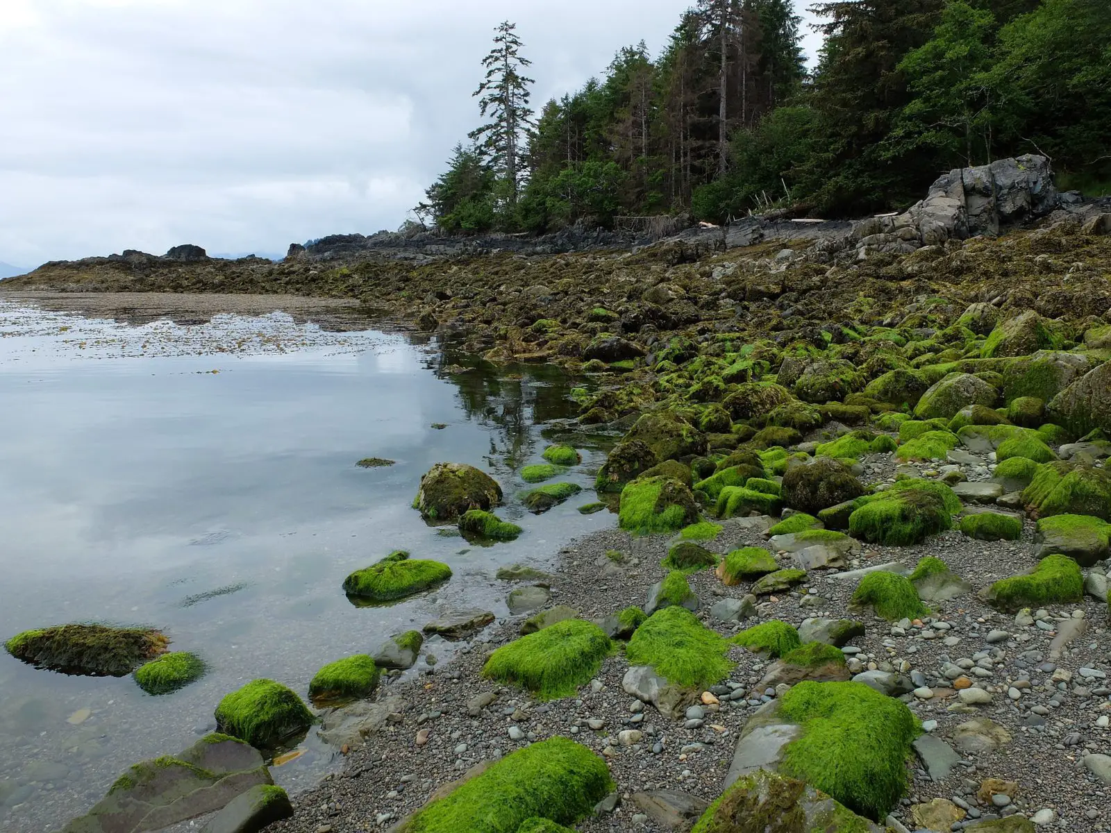 Mossy rocks on the edge of the water in Gwaii Haanas National Park Reserve - Photo: Christine Rondeau (CC)