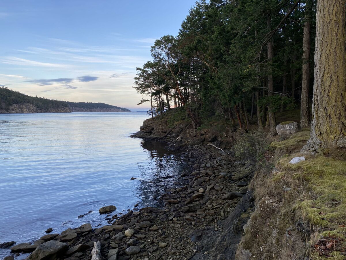 The calm ocean of Narvaez Bay on Saturna Island