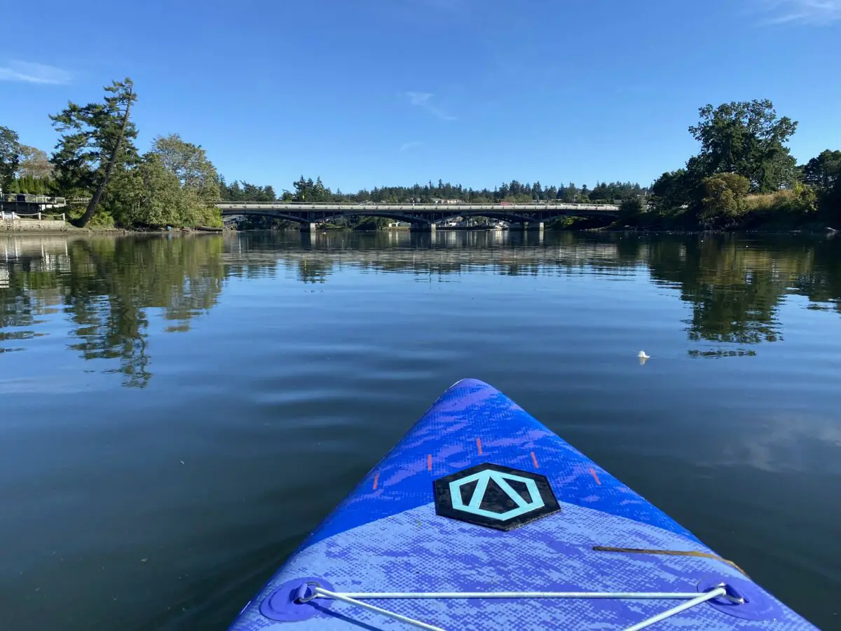 Paddleboarding through the Gorge Waterway in Victoria, BC