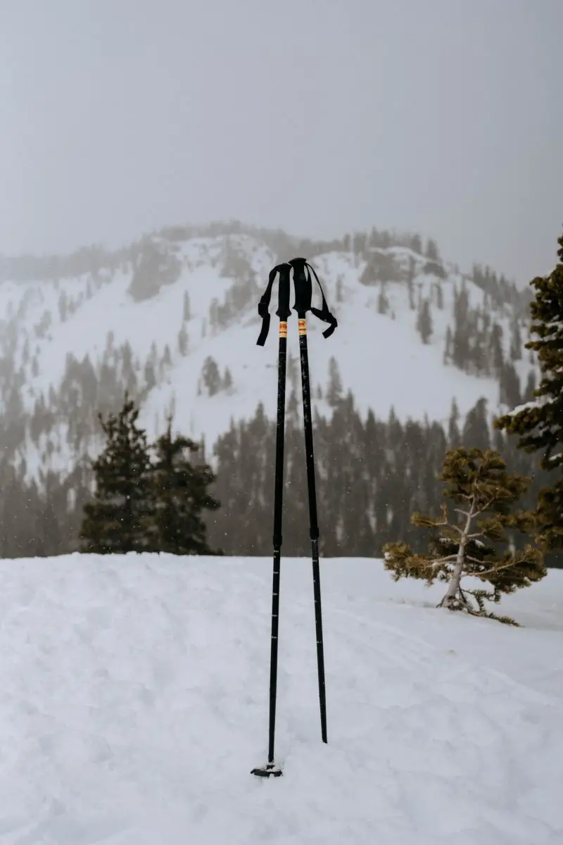 A pair of telescoping snowshoe trekking poles - Photo: Ben Kolde