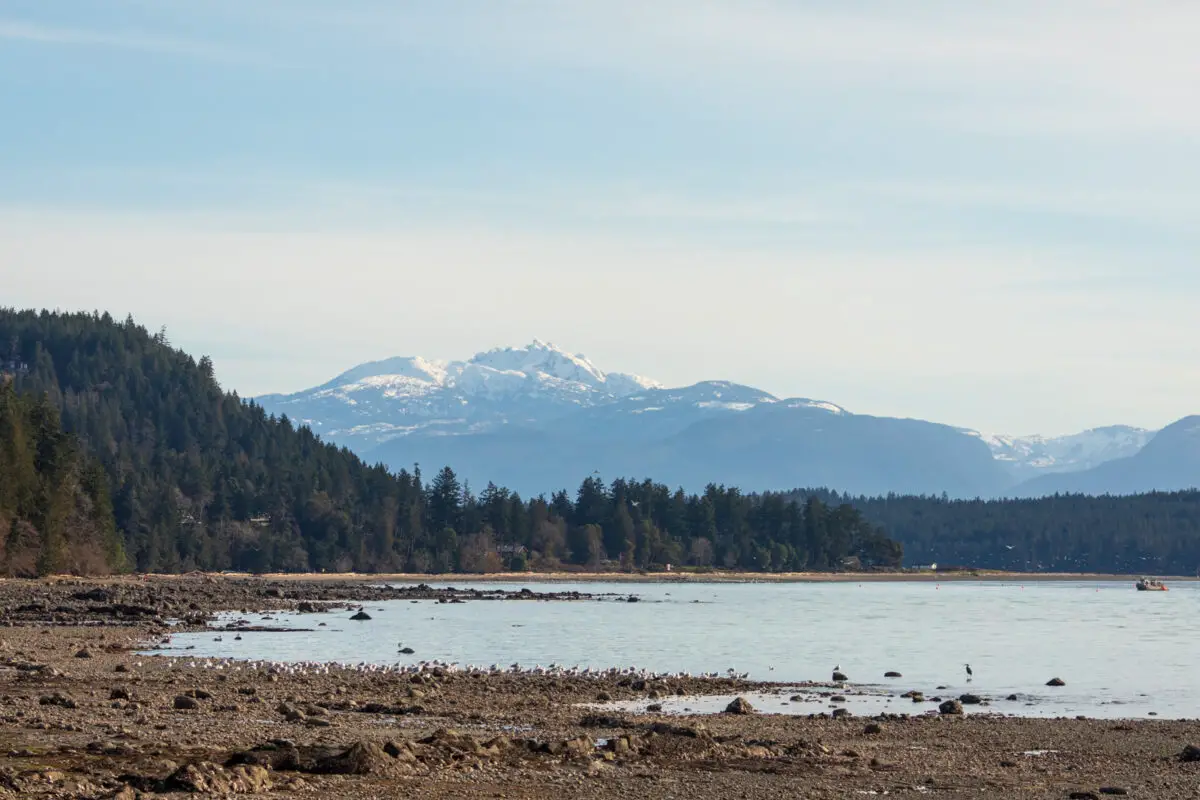 The view of the mountains over the rocky beach from Phipps Point on Hornby Island