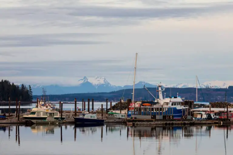 The mountains over the marina in Port McNeill, BC