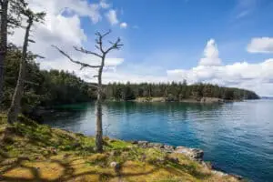 The gorgeous blue waters of Ruckle Provincial Park on Salt Spring Island