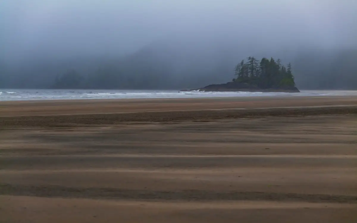 Beachcombing at low tide is one of the best things to do in Port Hardy
