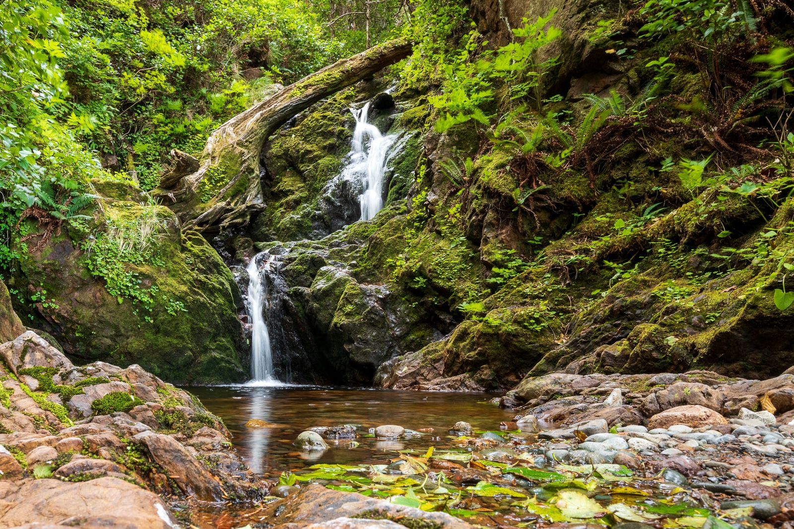 The waterfall at San Josef Bay