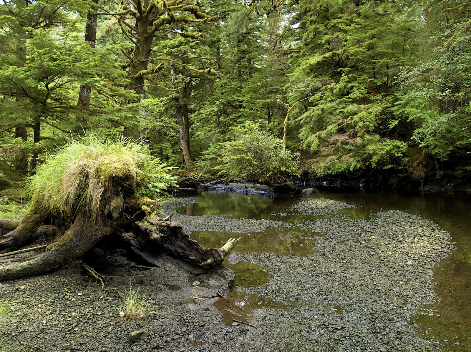 Sedmond Creek in Gwaii Haanas - Photo: Dale Simonson (CC)