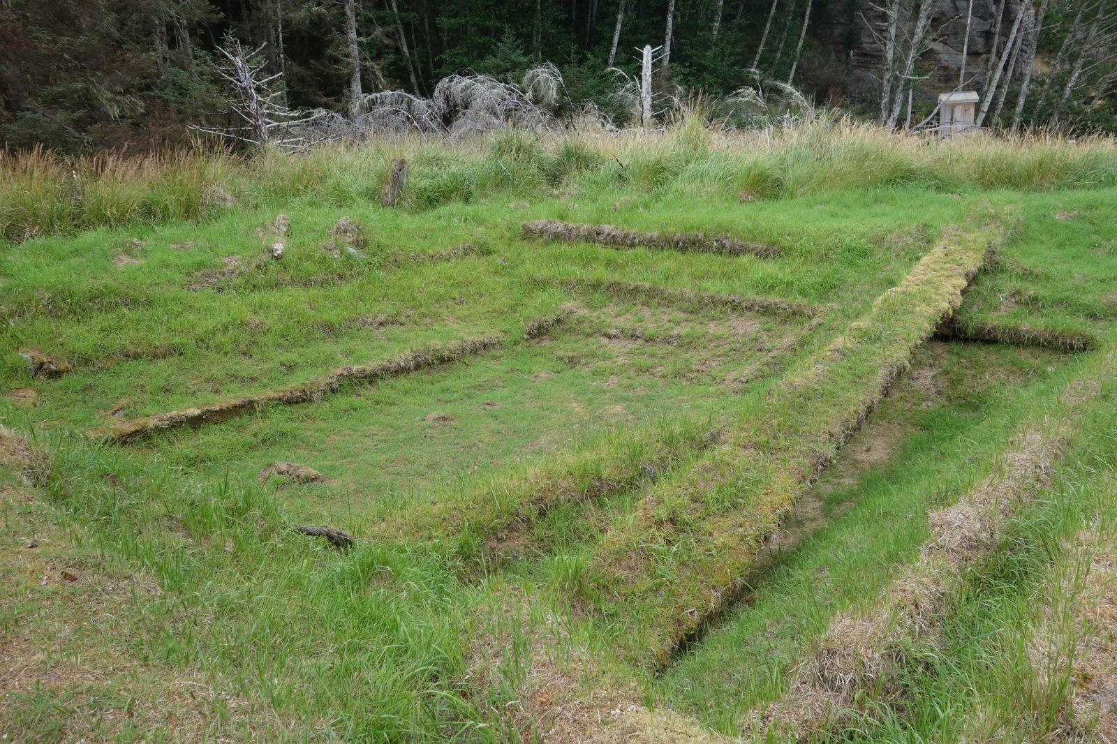 A depression where a house once stood in Ḵ'uuna Llnagaay (Skedans), Haida Gwaii - Photo: Olivier Bruchez (CC)