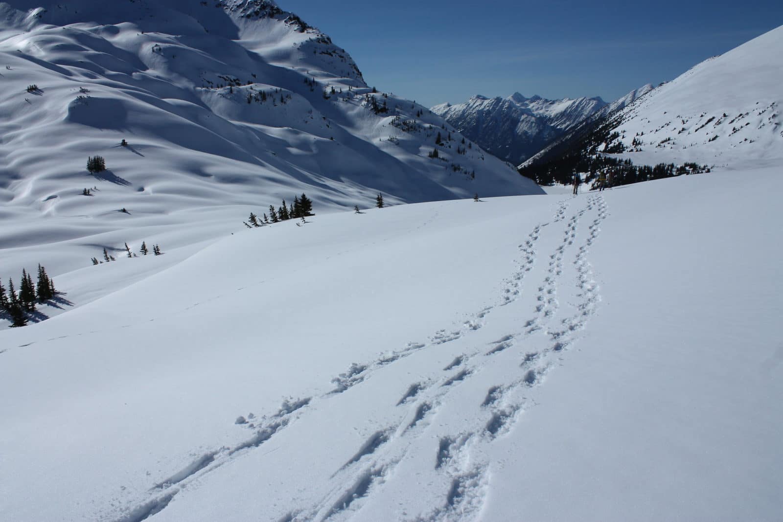 Snowshoeing through the mountains - Photo: Tim Gage (CC)