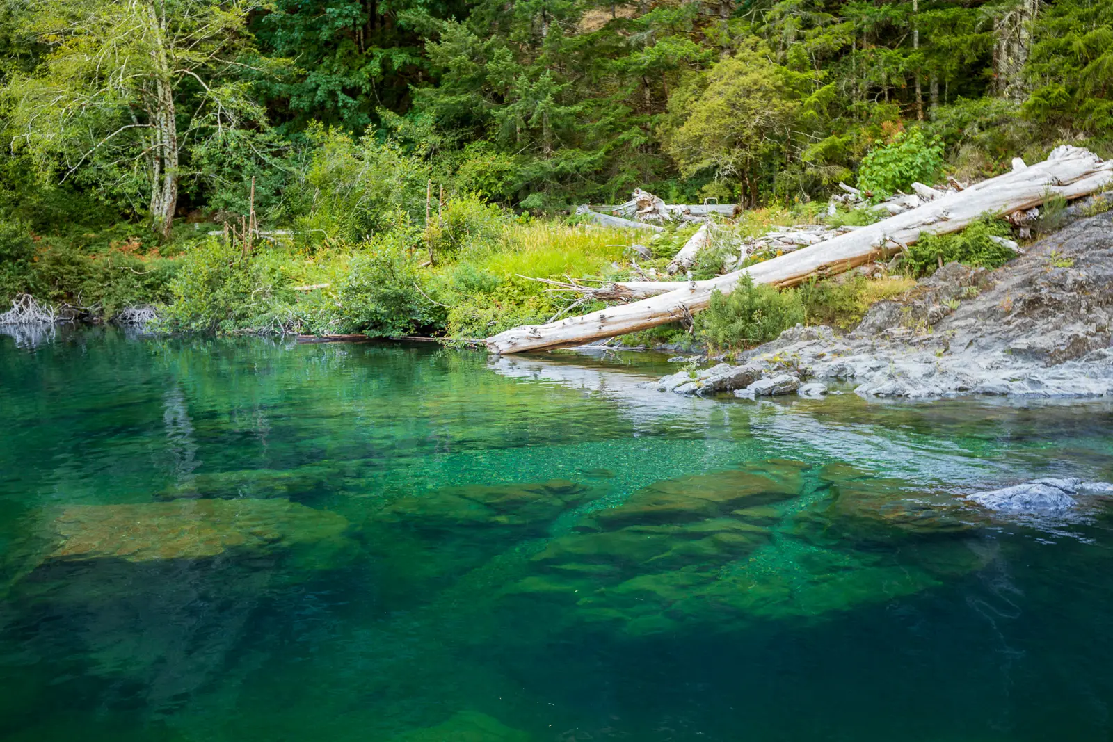 One of the swimming holes at the Sooke Potholes
