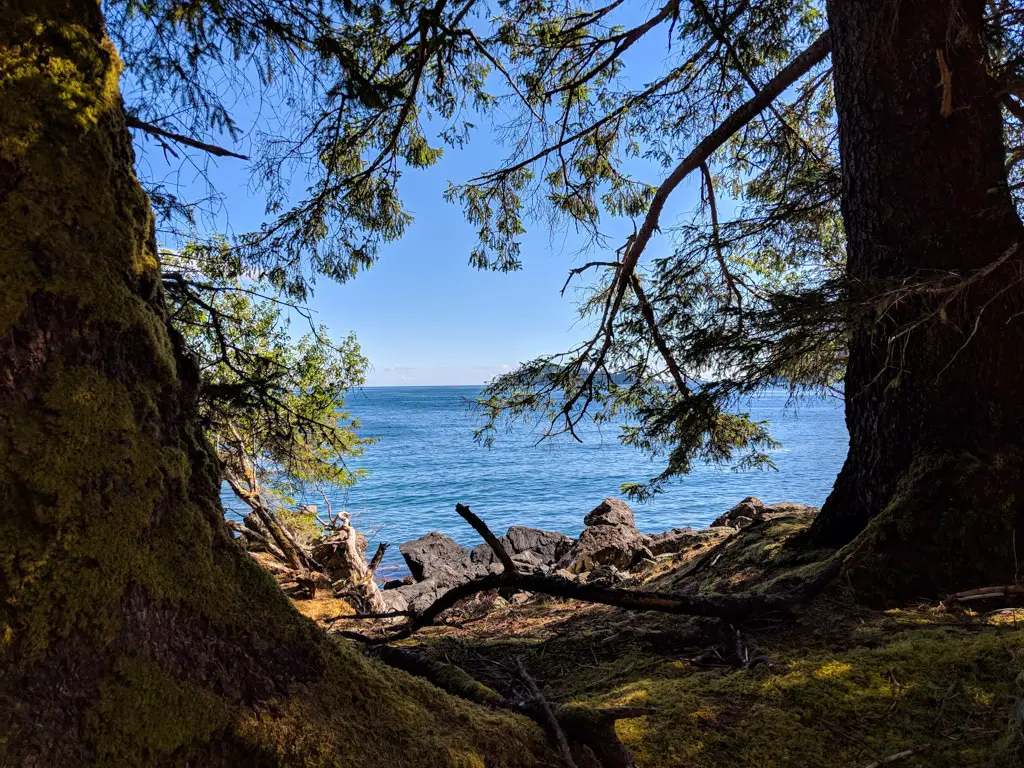 The view of the ocean through the trees at T'aanuu Llnagaay - Photo: Tim Bray (CC)