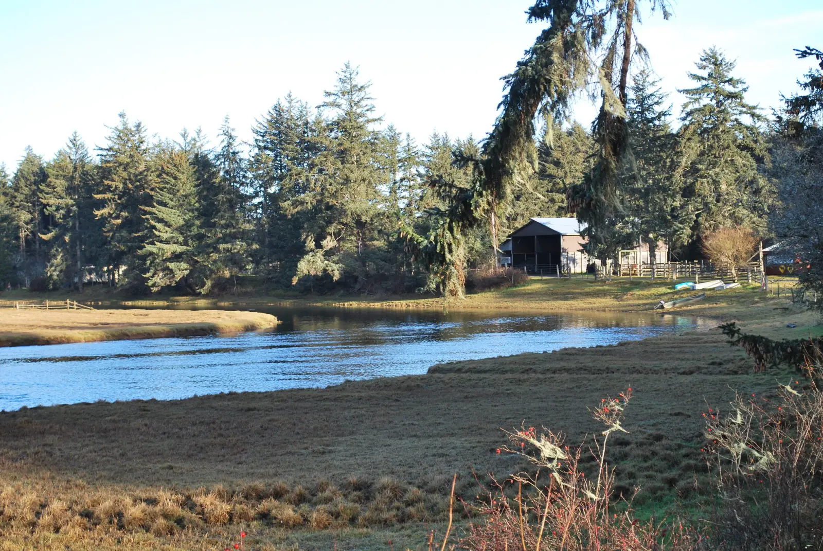 The Tlell River during low tide - Photo: George Dean (CC)