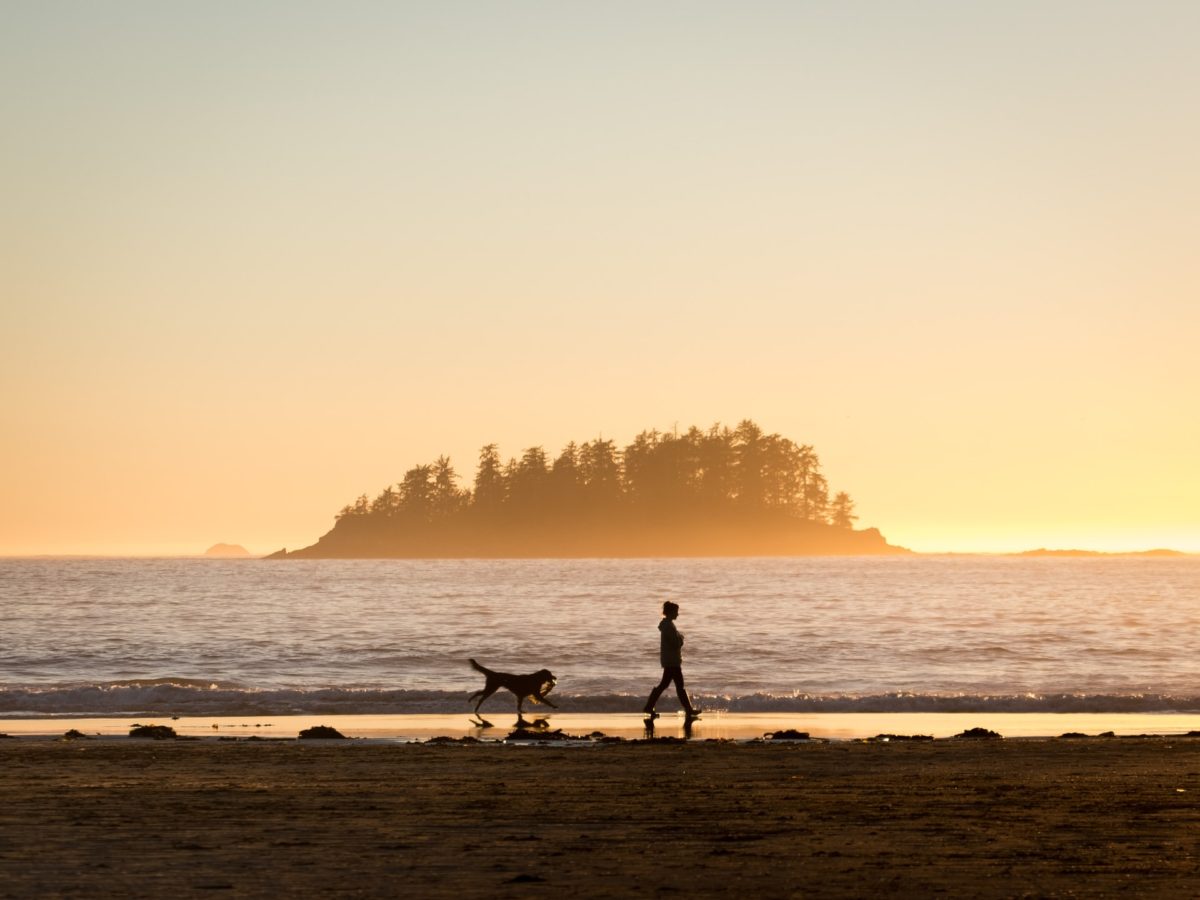 A woman and dog walking on the beach at sunset in Tofino, BC