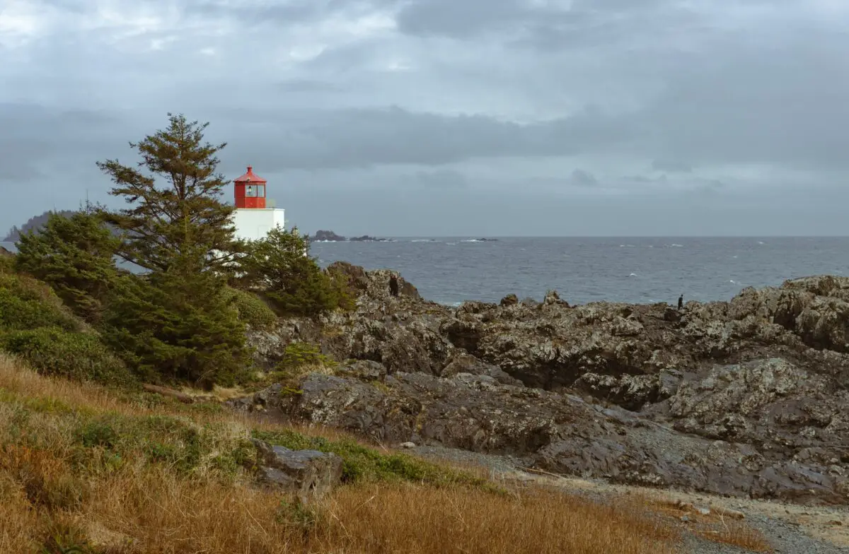 The Ucluelet lighthouse behind the tree on the Wild Pacific Trail