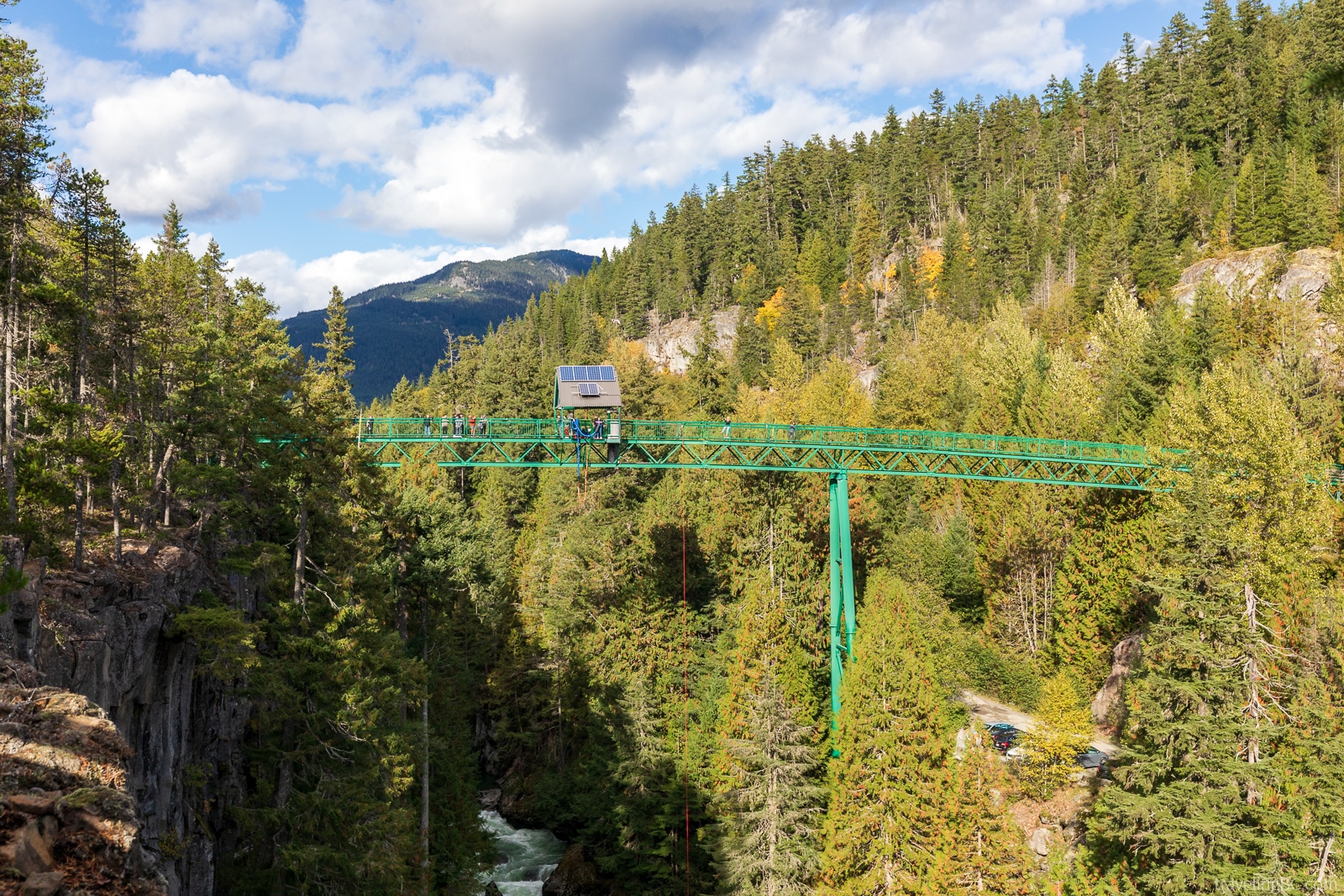 Bungee bridge in Whistler, BC