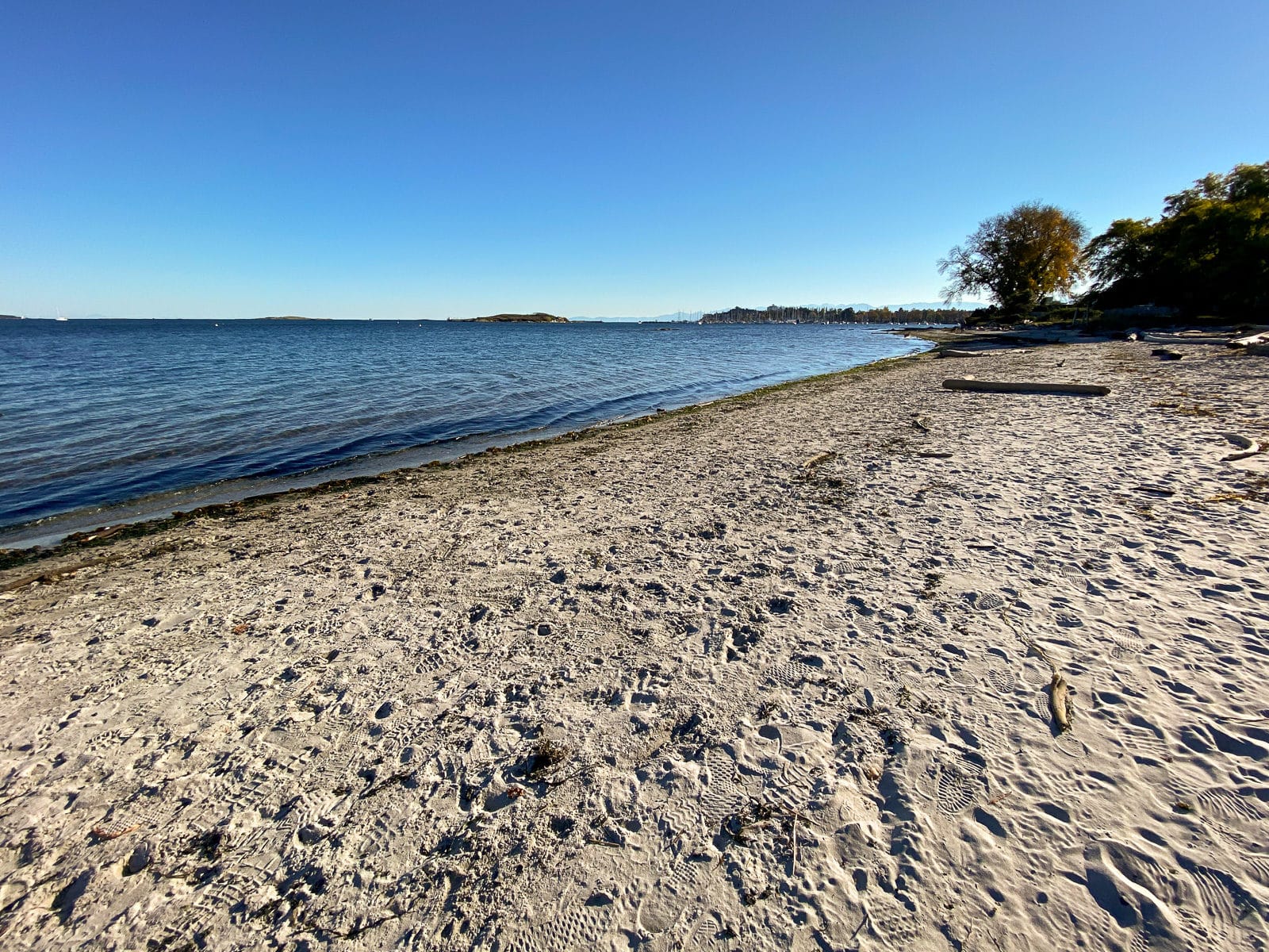 Willows Beach with the Oak Bay Marina in the distance