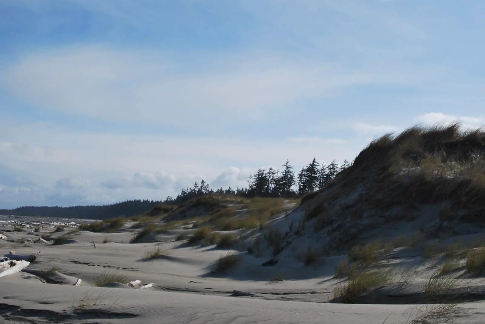 A windswept beach on the East Beach Trail in Naikoon Provincial Park, BC - Photo: Karen Neoh (CC)